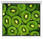 Esquire Electric Projector Screen 300 X 169, Retail Box , 1 year Limited Warranty