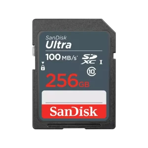 SD CL10: 256GB